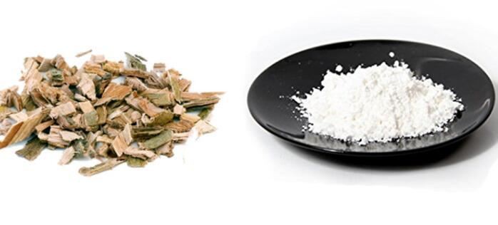 Willow Bark Extract vs Salicylic Acid