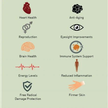 coq10 benefits coq10 benefits