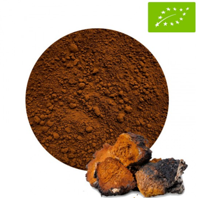 Chaga Puder