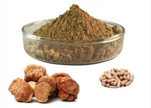 Ekstrakt lavlje mane