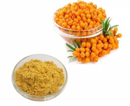 Hippophae Rhamnoides Fruit Extract