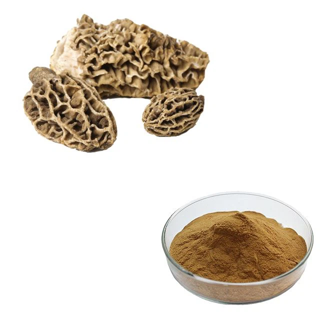 Morel u prahu