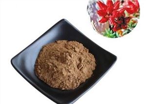 Rhodiola Puder