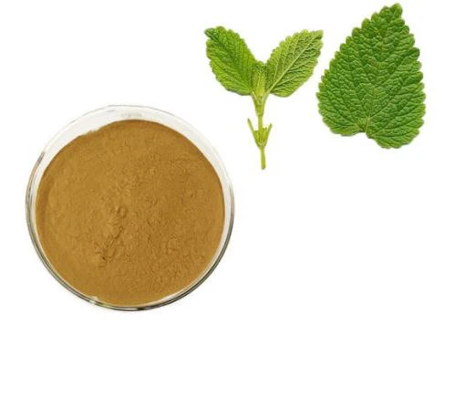 Ekstrakt lista Melisse Officinalis