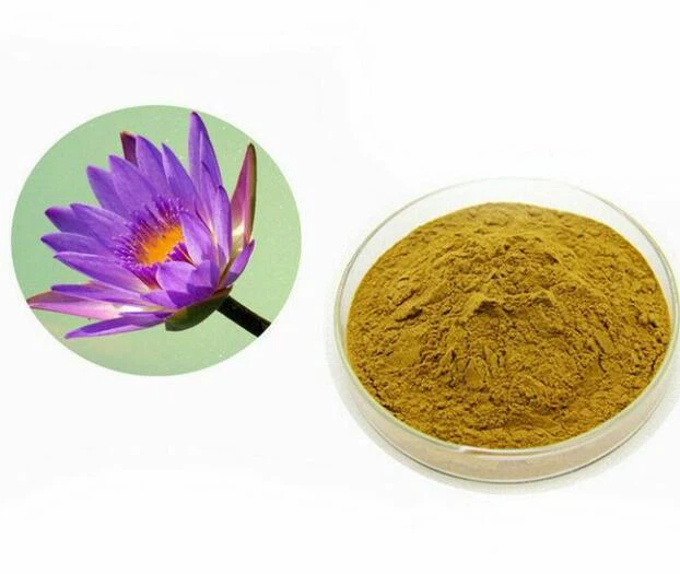 Puder Blue Lotus