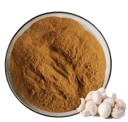 Ekstrakt voća Agaricus Bisporus