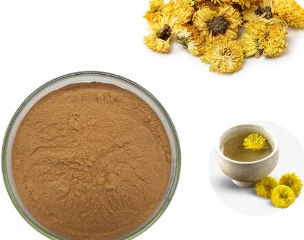 Chrysanthemum Flower Extract