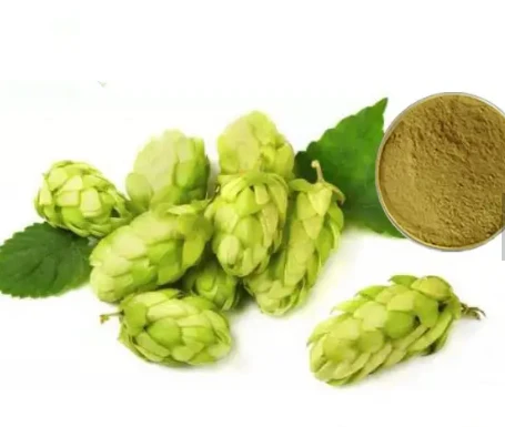 Ekstrakt cvijeta Humulus Lupulus
